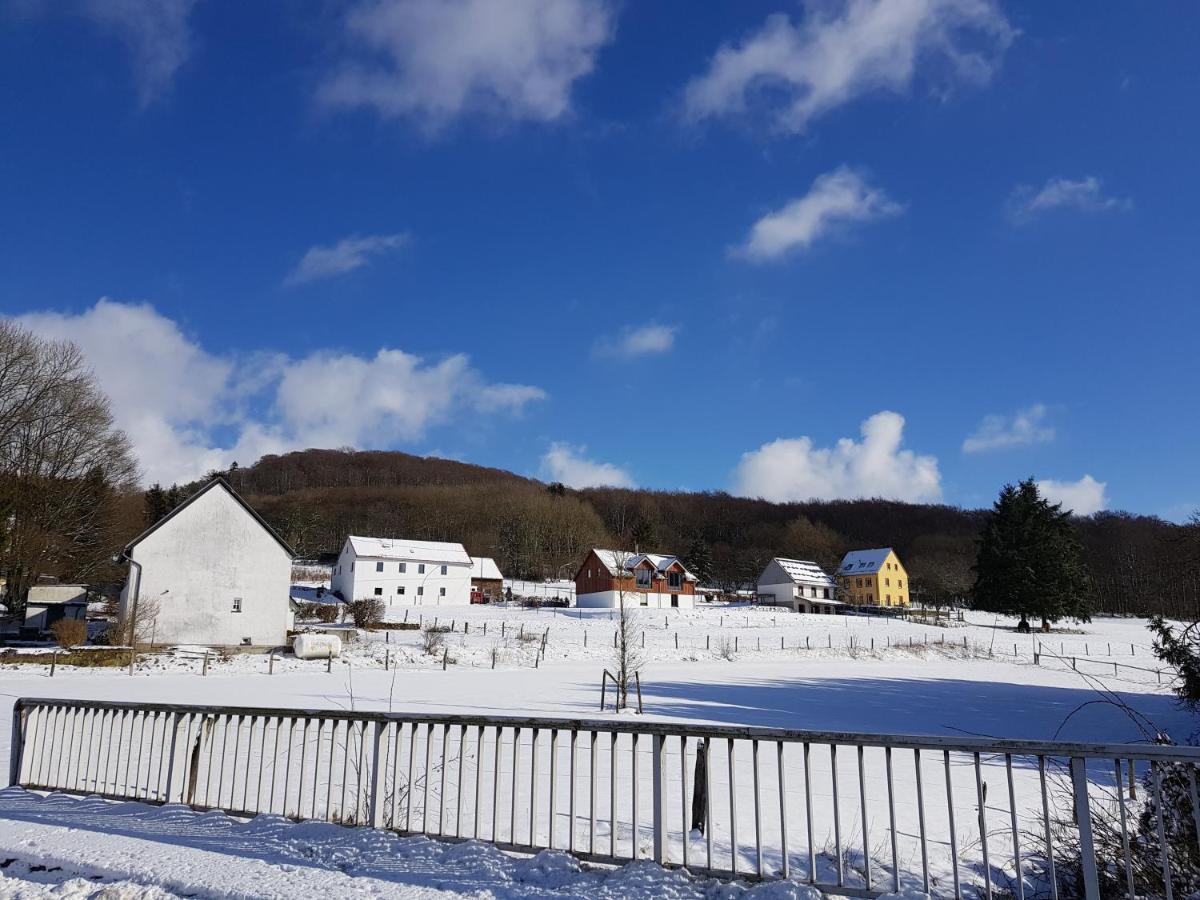 Вілла Waldhaus Nearby Nuerburgring Bongard Екстер'єр фото